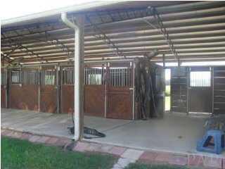 1728 Jacks Branch Road Cantonment, FL 32533 - Photo 4 of 23 Horse Stalls