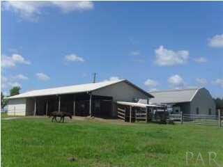 1728 Jacks Branch Road Cantonment, FL 32533 - Photo 5 of 23 View of Barns