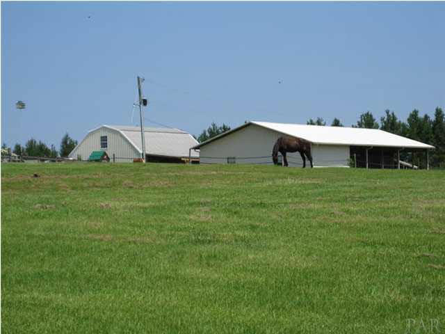 1728 Jacks Branch Road Cantonment, FL 32533 - Photo 6 of 23 View of Barns
