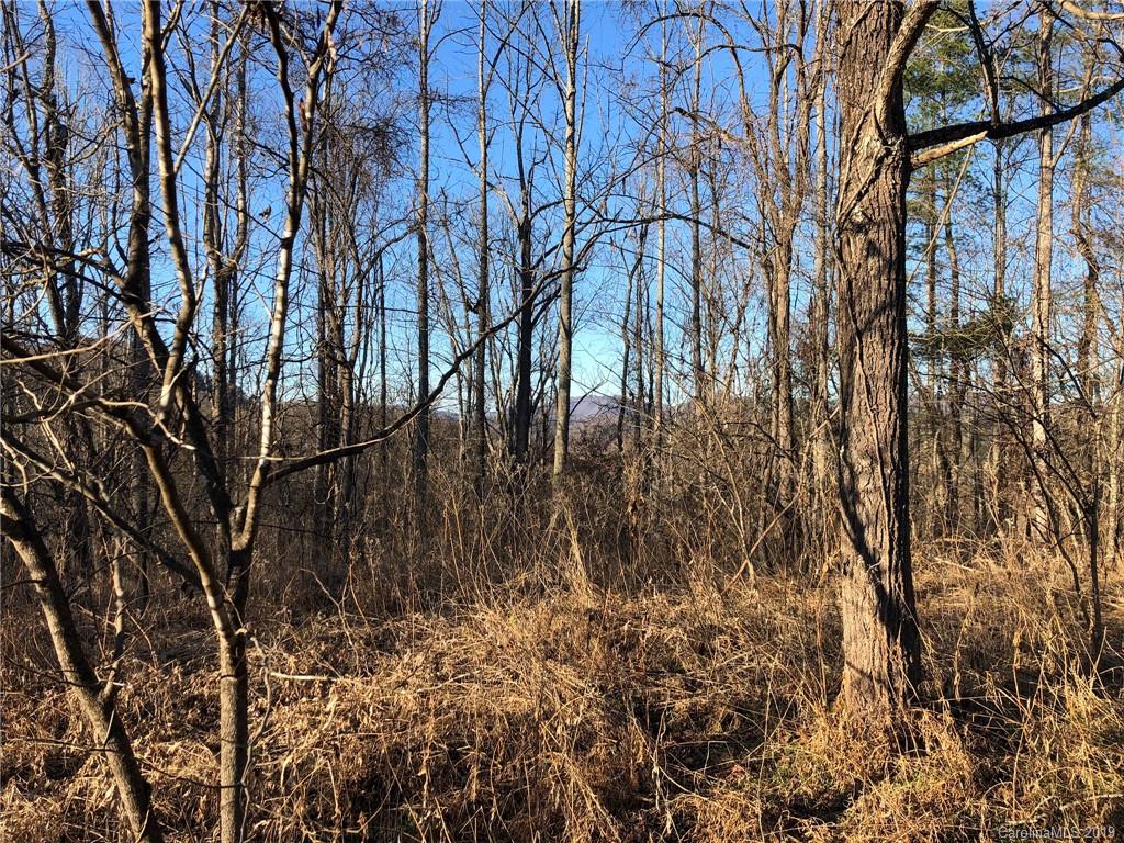 Tbd Garnet Ridge Marshall, NC 28753 - Photo 2 of 14 a backyard of a house with lots of green space
