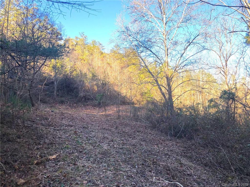 Tbd Garnet Ridge Marshall, NC 28753 - Photo 5 of 14 a view of a dry yard with trees