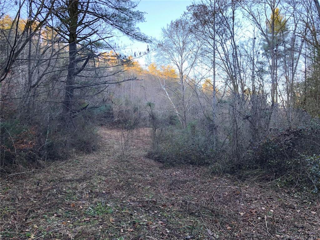 Tbd Garnet Ridge Marshall, NC 28753 - Photo 10 of 14 a view of a yard with trees