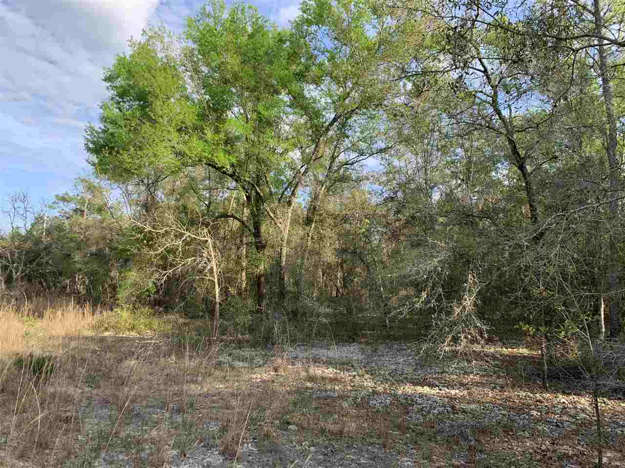 1001 Baden Powell Road Hawthorne, FL 32640 - Photo 4 of 4 Gallery Image 4