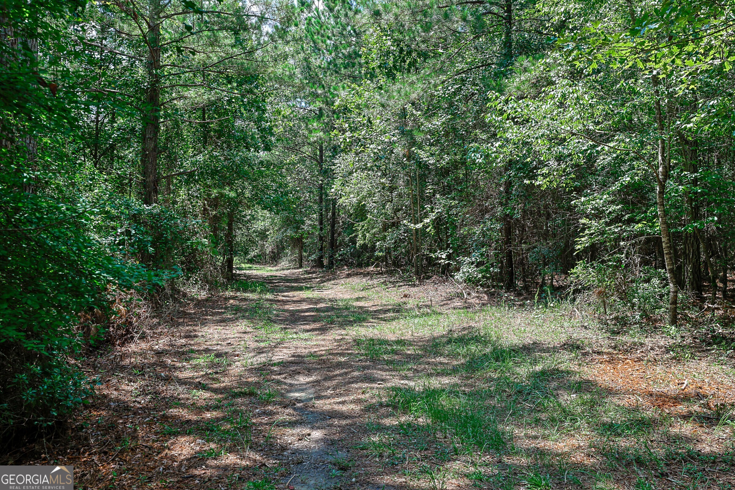 0 Wriley Road McIntyre, GA 31054 - Photo 14 of 51 Gallery Image 14