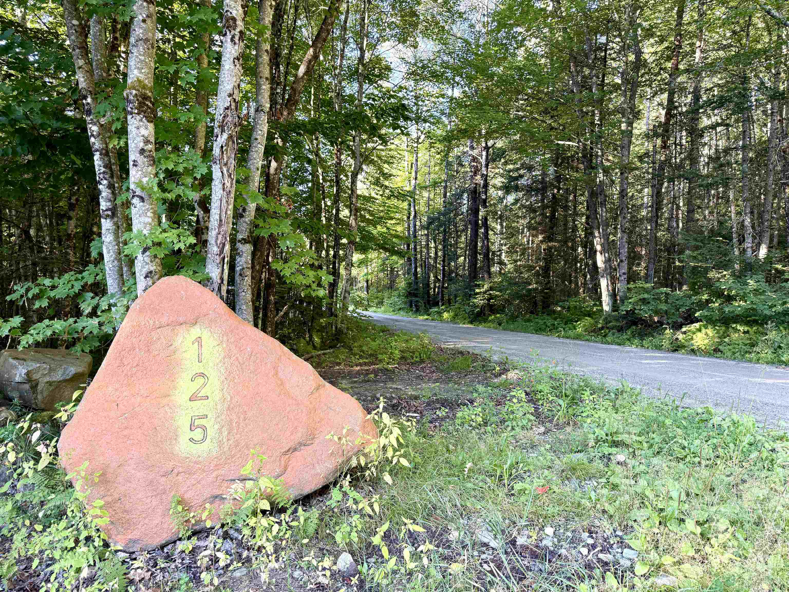 125 Dance Hall Road Lunenburg, VT 05906 - Photo 3 of 25 Gallery Image 3
