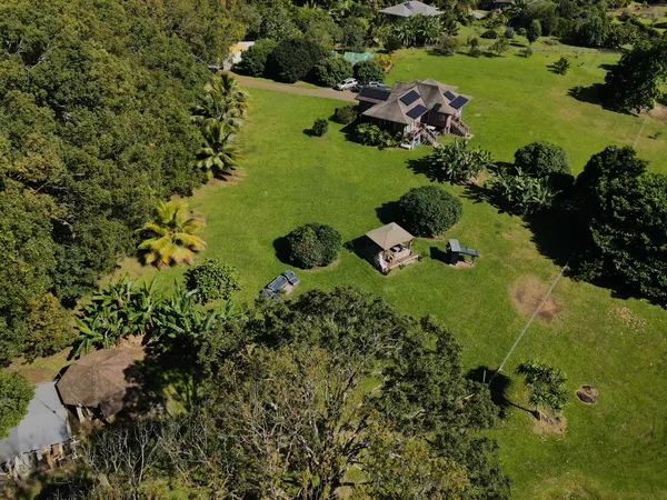 a view of a garden with a lake
