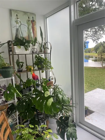 a view of a potted plant in front of a window