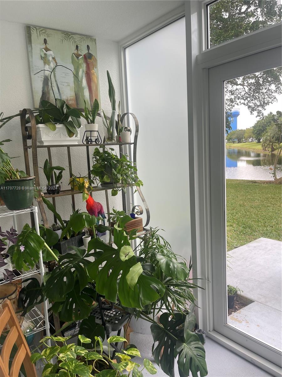 191 Prescott J, Unit 191 Deerfield Beach, FL 33442 - Photo 4 of 18 a view of a potted plant in front of a window
