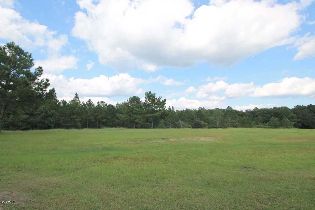11121 Valley Forge Road Moss Point, MS 39562 - Photo 45 of 60 6 (6)