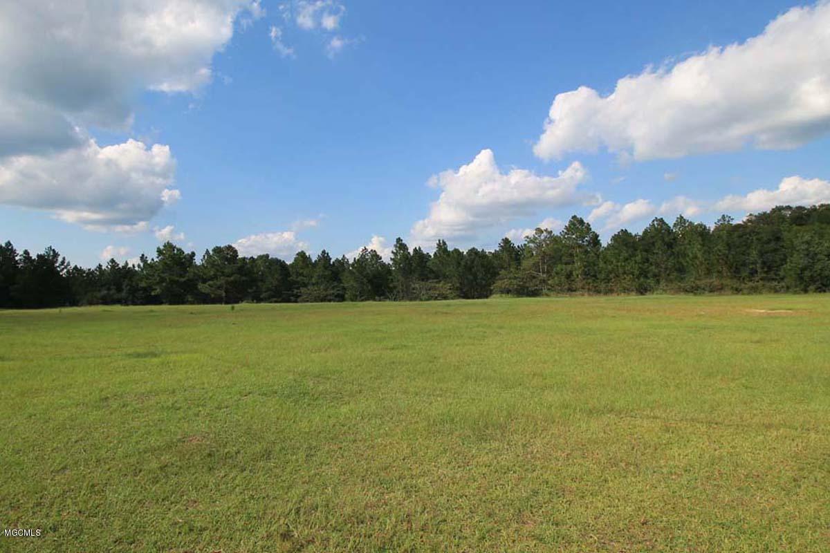 11121 Valley Forge Road Moss Point, MS 39562 - Photo 47 of 60 6 (9)