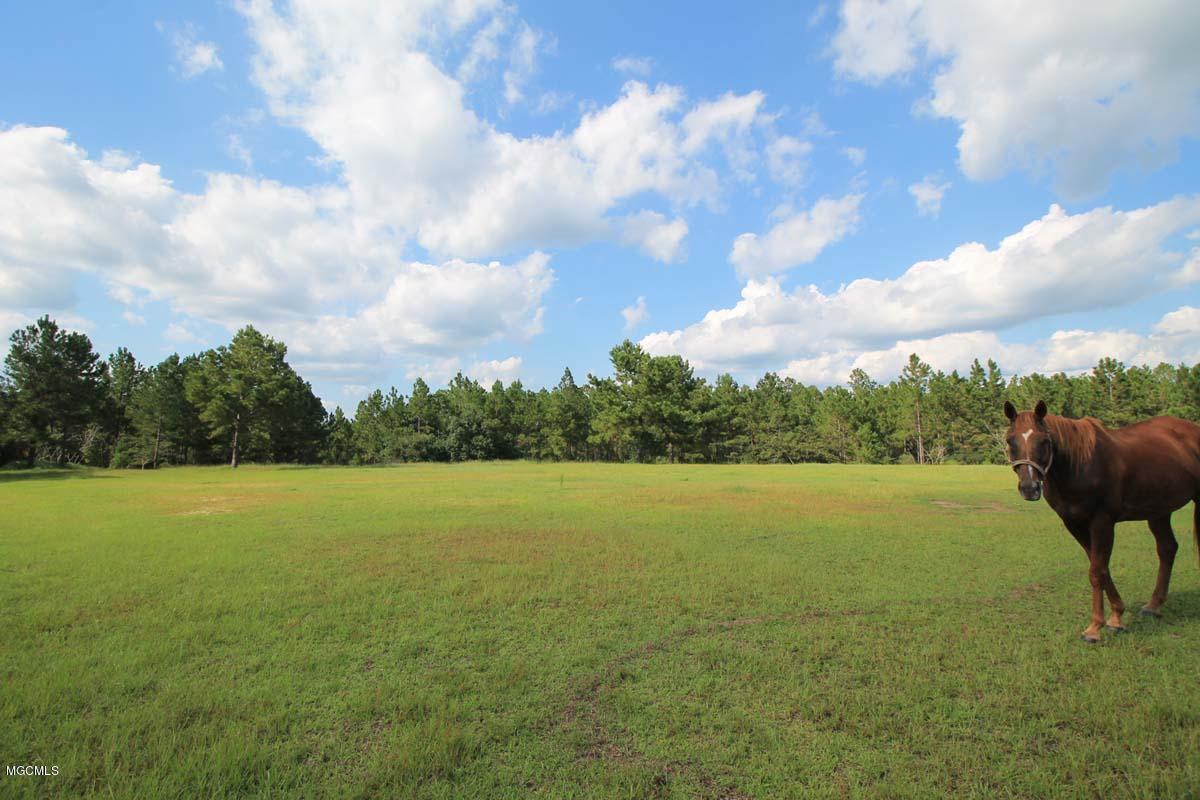 11121 Valley Forge Road Moss Point, MS 39562 - Photo 5 of 60 Additional Photo