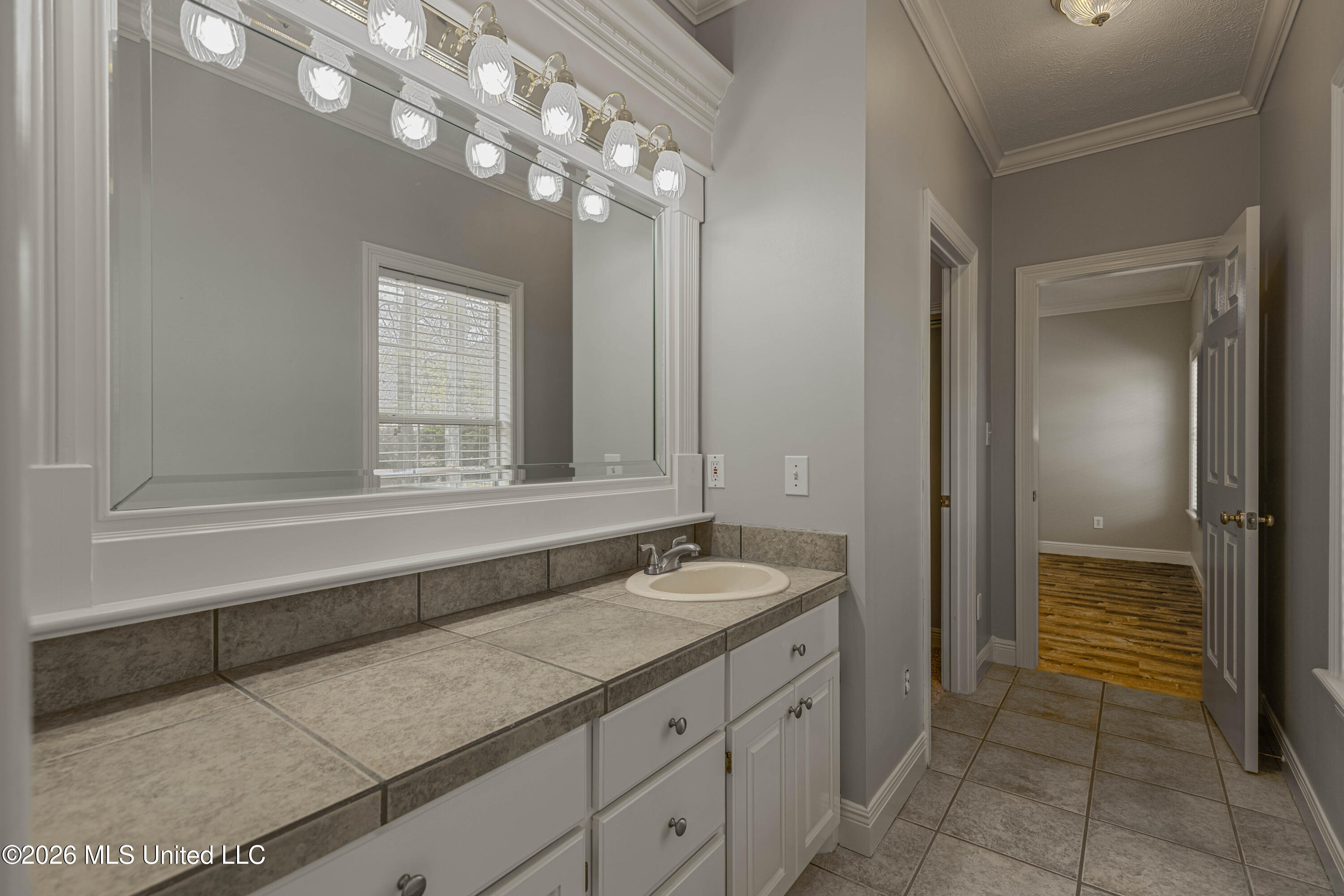 407 Thorngate Drive Brandon, MS 39042 - Photo 47 of 71 IMG_8346-Edit