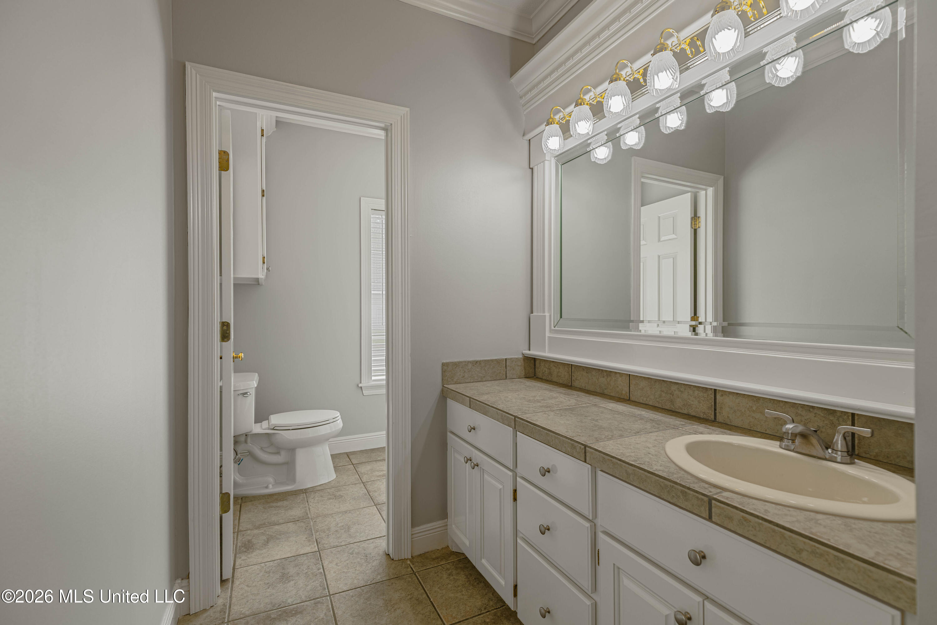 407 Thorngate Drive Brandon, MS 39042 - Photo 48 of 71 IMG_8349-Edit