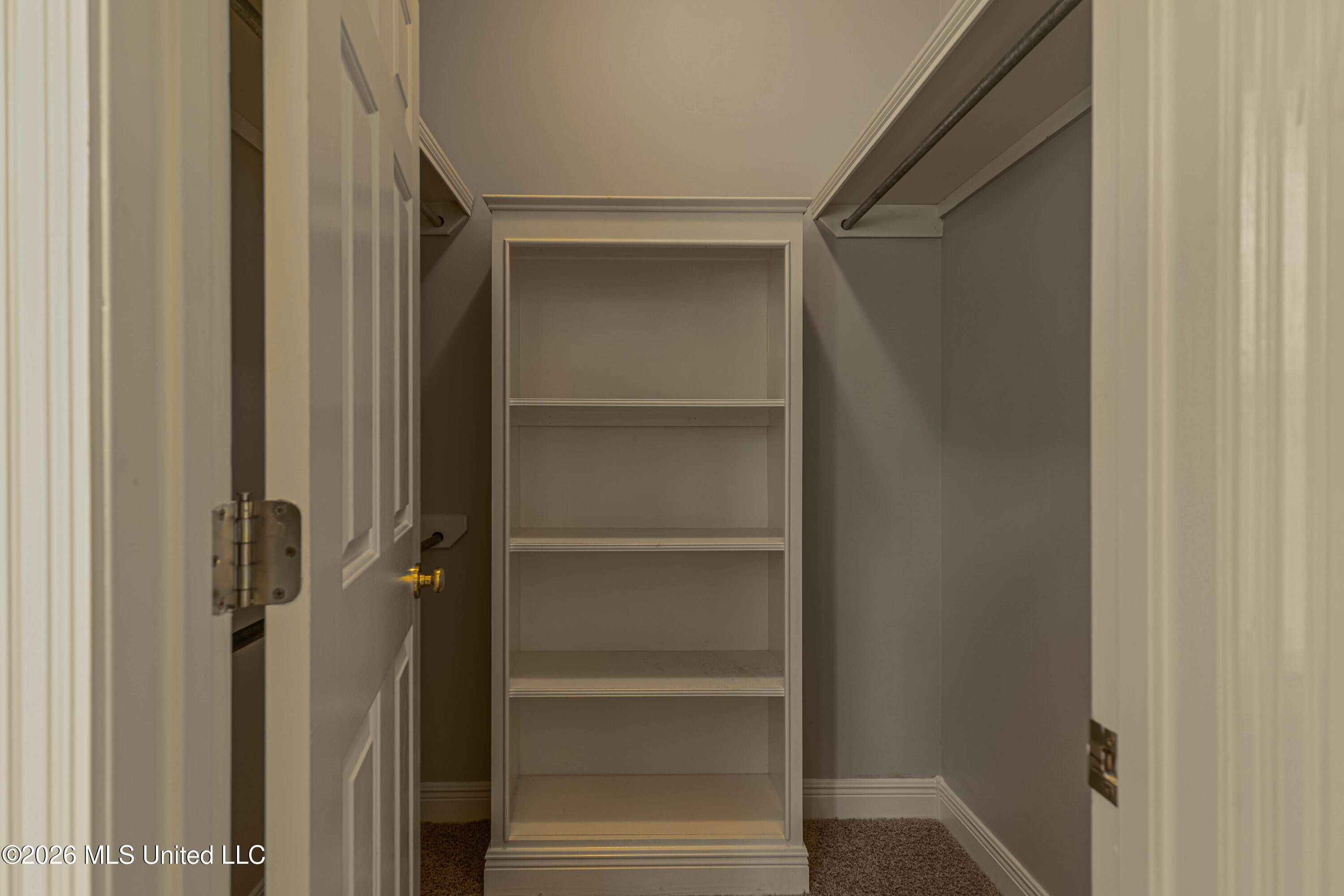 407 Thorngate Drive Brandon, MS 39042 - Photo 51 of 71 IMG_8358-Edit