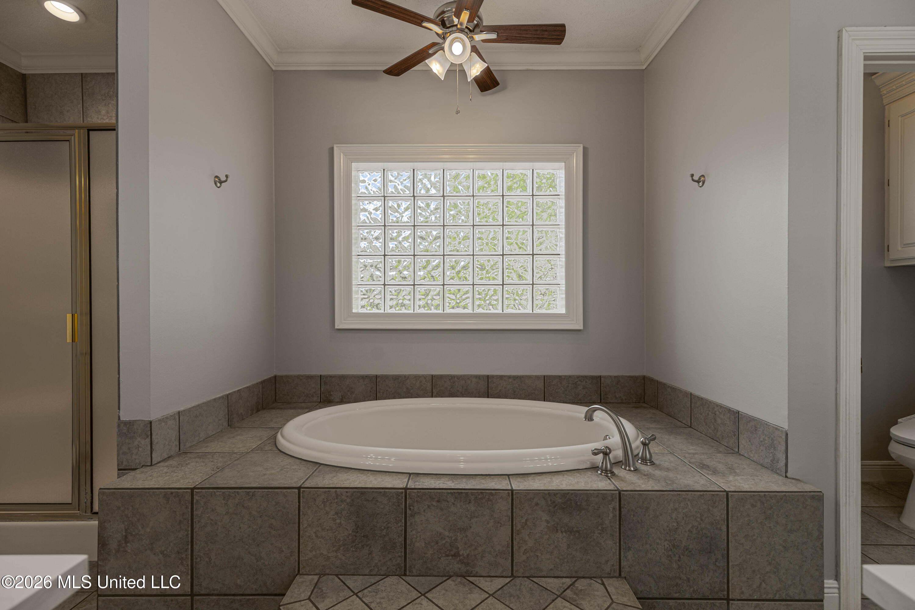 407 Thorngate Drive Brandon, MS 39042 - Photo 58 of 71 IMG_8382-Edit