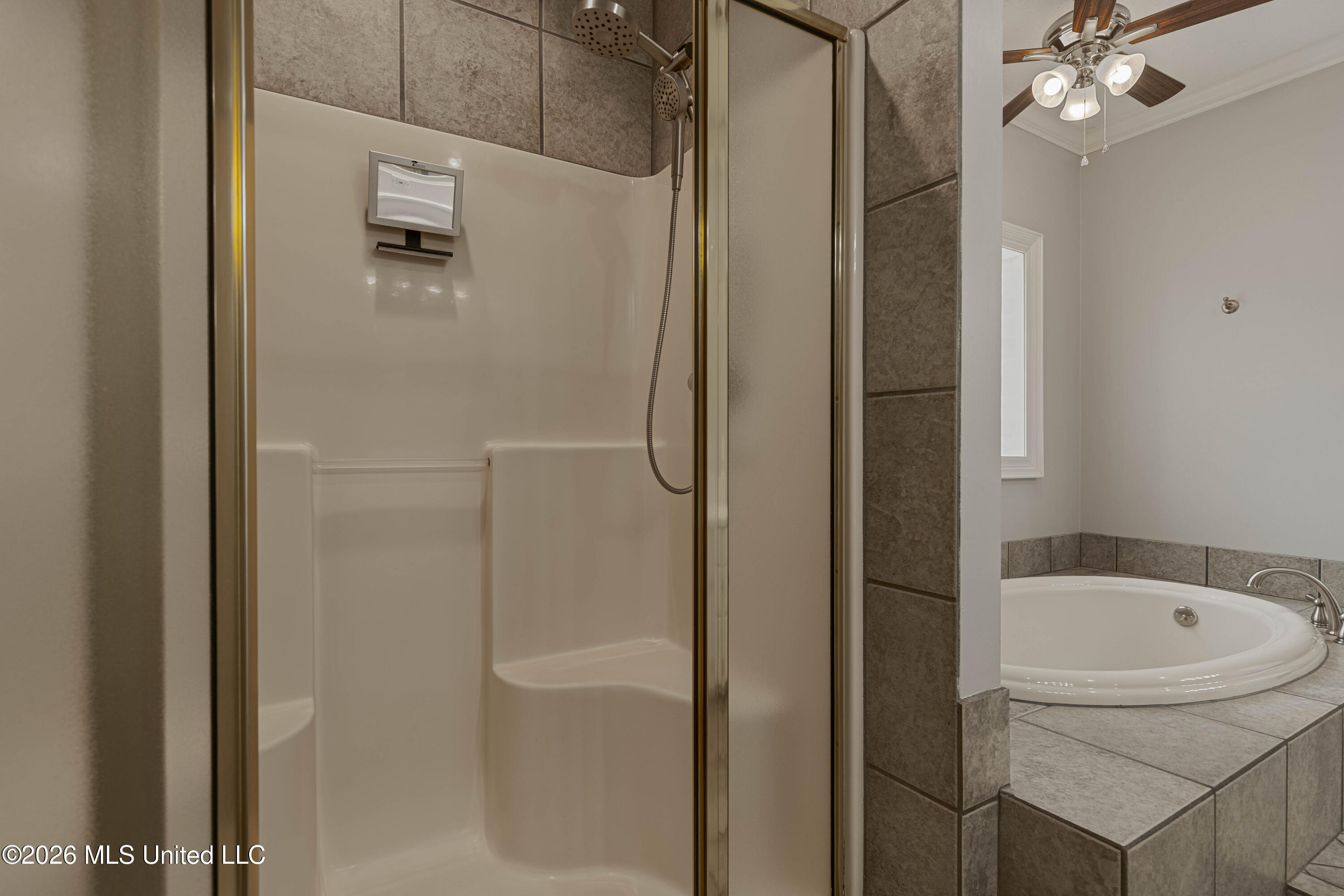 407 Thorngate Drive Brandon, MS 39042 - Photo 61 of 71 IMG_8391-Edit