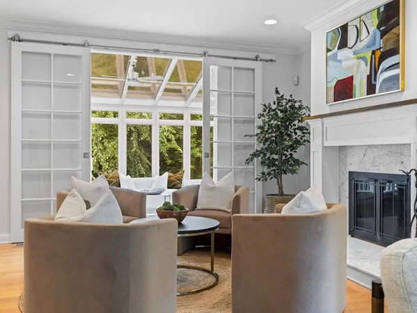 a living room with furniture and a potted plant
