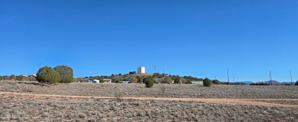 a view of a dry yard with trees