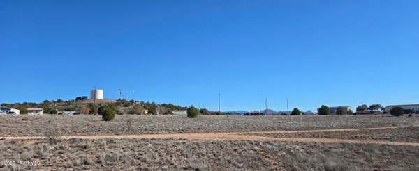 a view of a dry yard