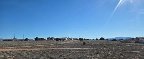 a view of a dry yard