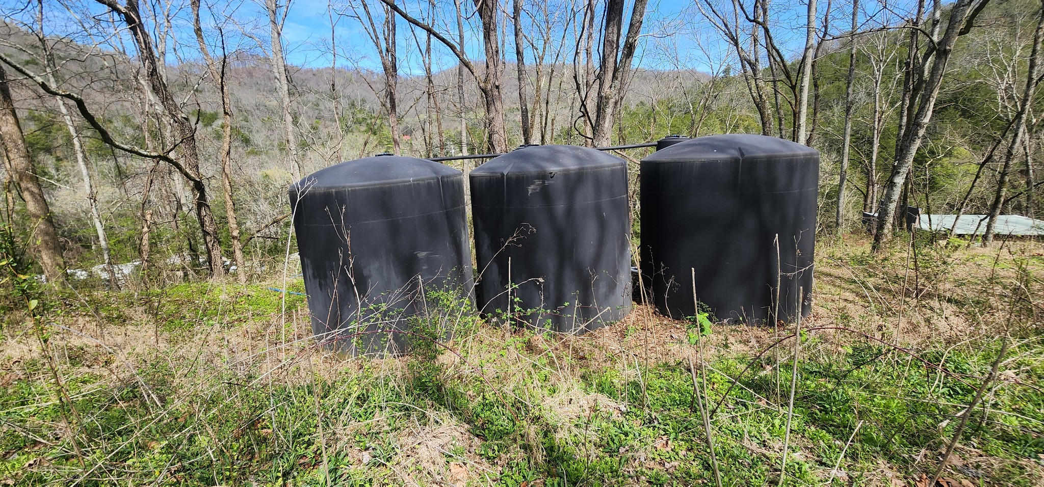 950 Chapman Hollow Road Dowelltown, TN 37059 - Photo 11 of 34 a view of a backyard of the house
