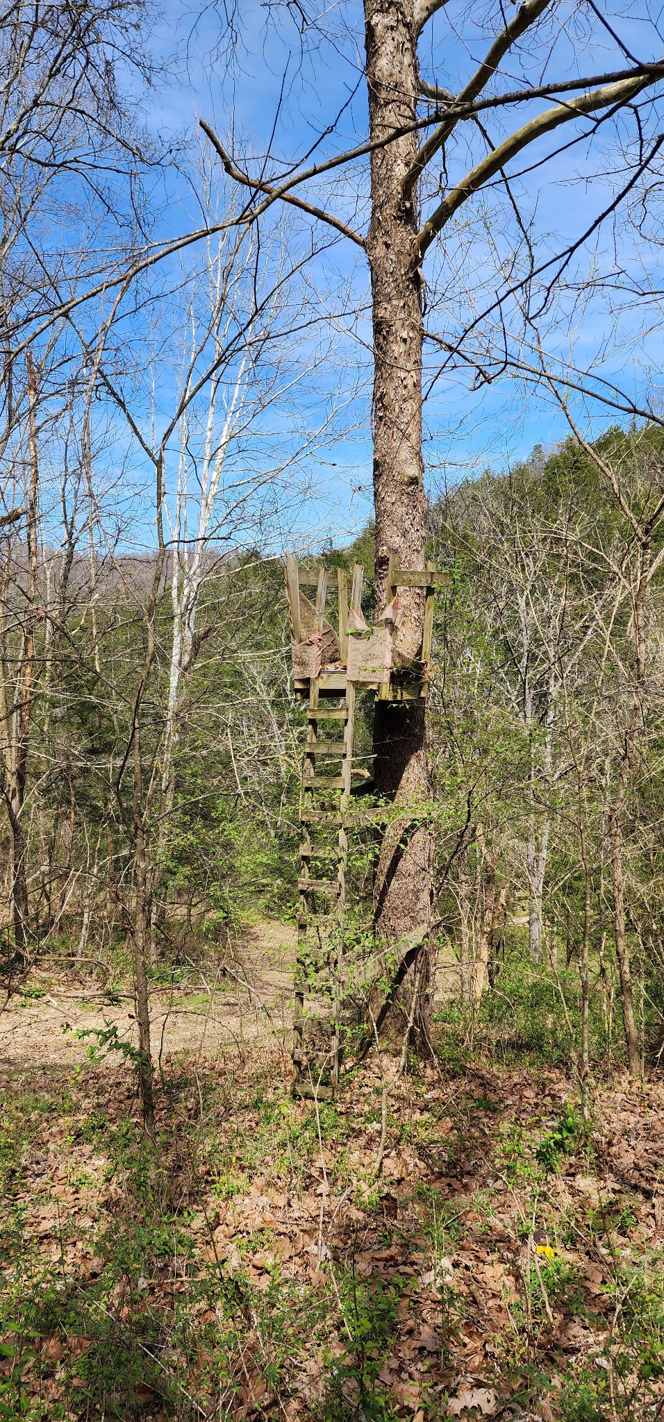 950 Chapman Hollow Road Dowelltown, TN 37059 - Photo 12 of 34 a bathroom with a shower