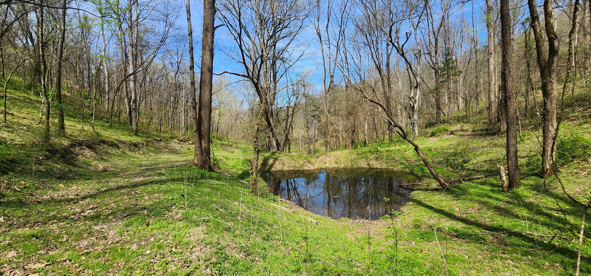 950 Chapman Hollow Road Dowelltown, TN 37059 - Photo 16 of 34 a view of outdoor space and a yard
