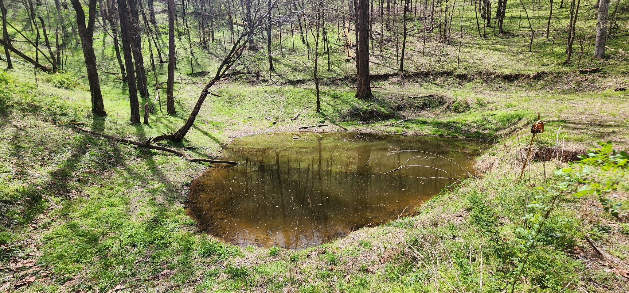 950 Chapman Hollow Road Dowelltown, TN 37059 - Photo 18 of 34 a view of a garden from a lake