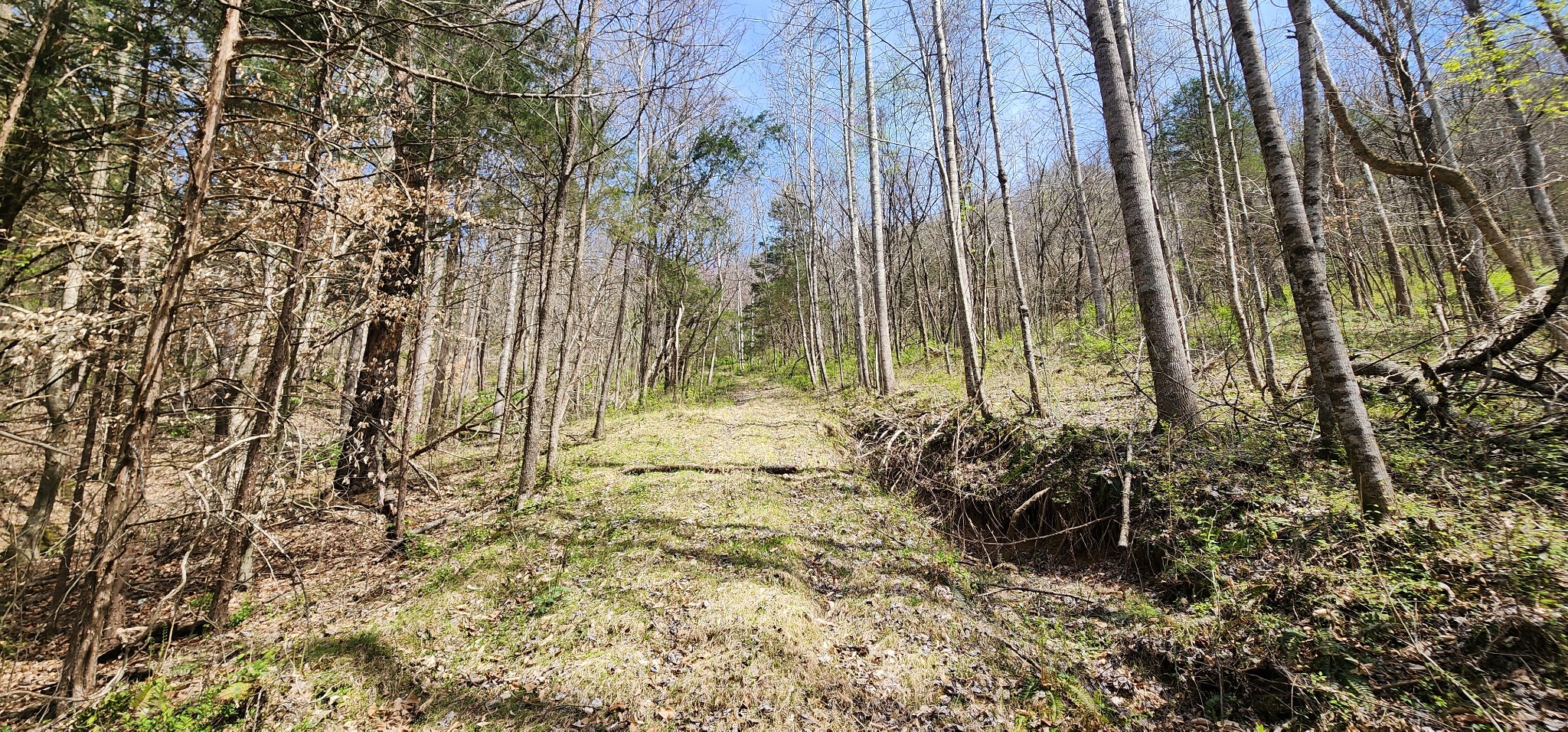 950 Chapman Hollow Road Dowelltown, TN 37059 - Photo 21 of 34 a view of outdoor space with garden