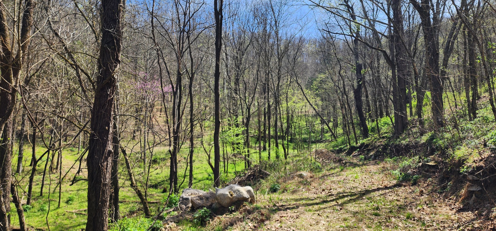 950 Chapman Hollow Road Dowelltown, TN 37059 - Photo 28 of 34 a view of a garden