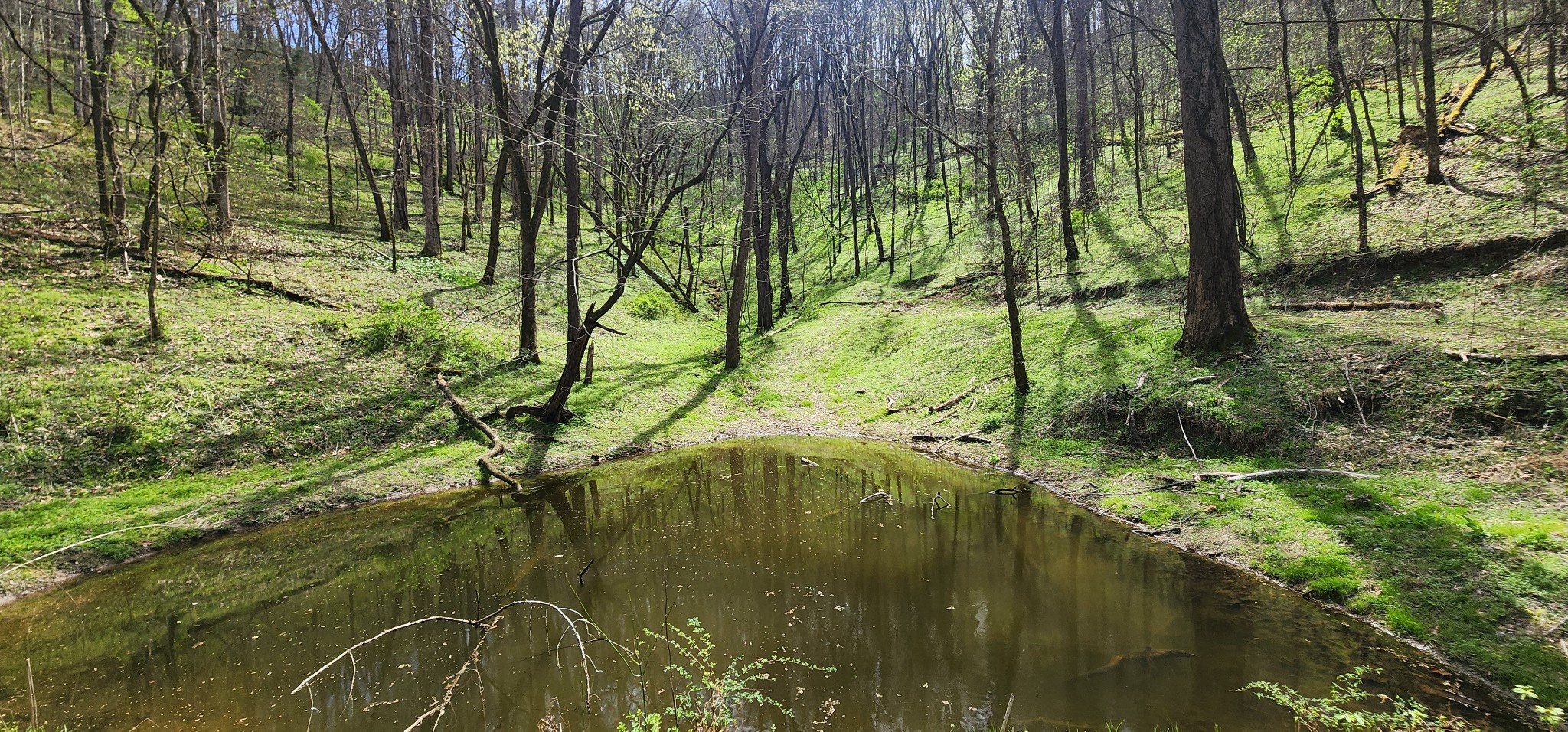 950 Chapman Hollow Road Dowelltown, TN 37059 - Photo 3 of 34 a view of lake from a yard
