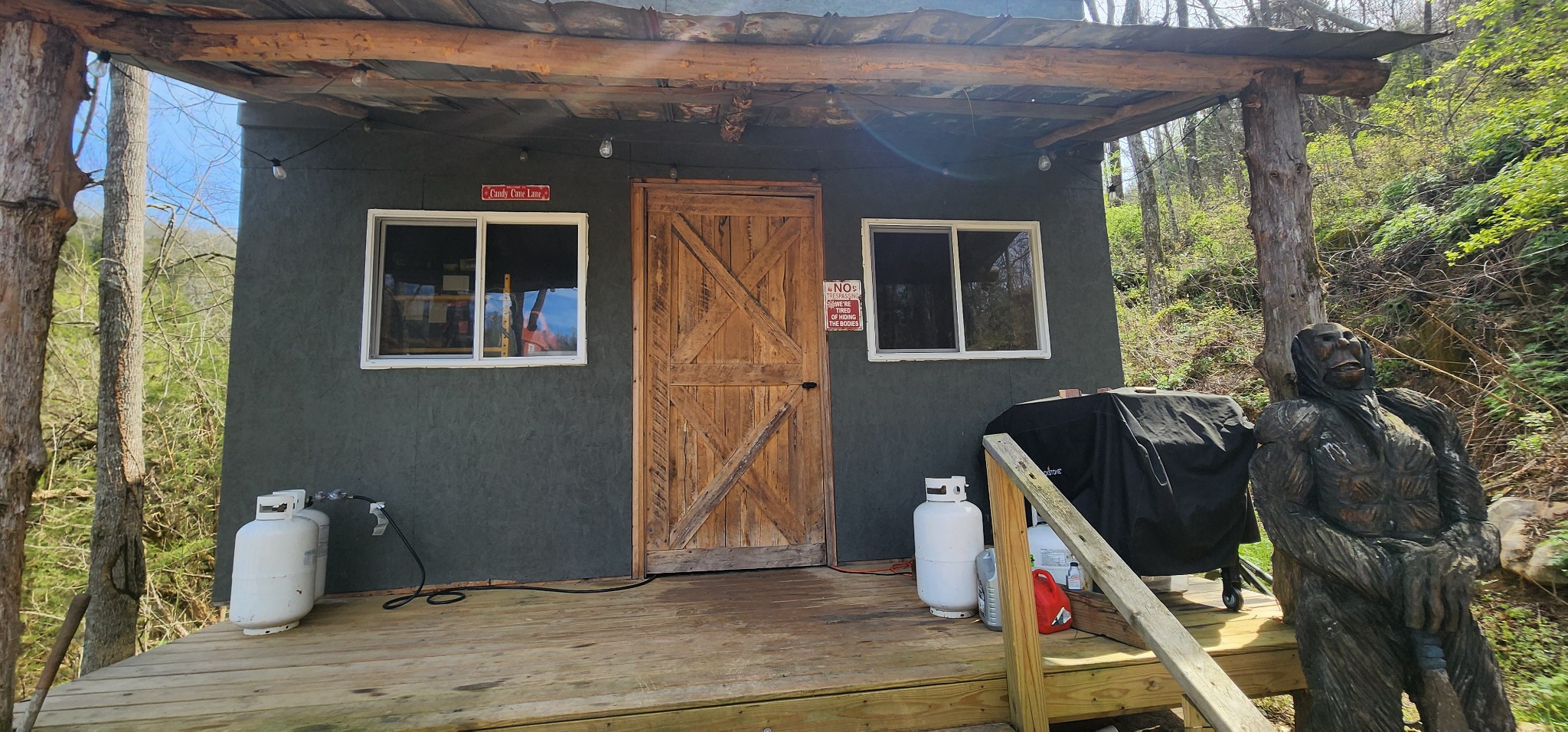 950 Chapman Hollow Road Dowelltown, TN 37059 - Photo 9 of 34 a backyard of a house with seating space