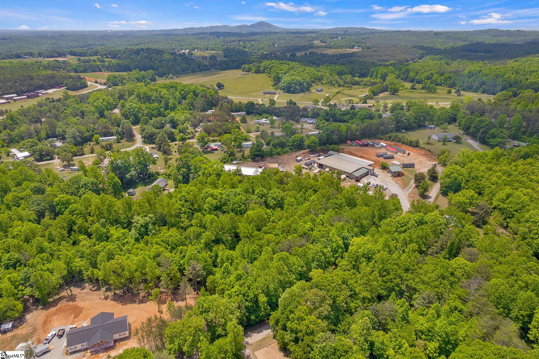 0 Erin Lane Pickens, SC 29671 - Photo 9 of 13