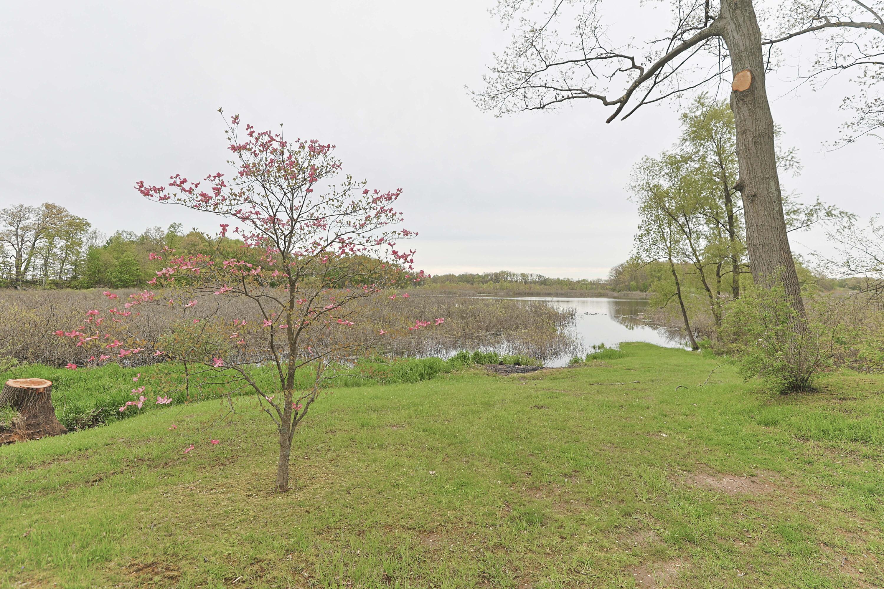 8497 Lake Road Berrien Center, MI 49102 - Photo 5 of 58 8497 Lake_2026_IMG_8710