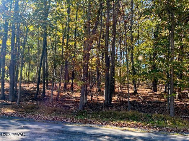 Lot 3 Aspen Road Dingmans Ferry, PA 18328 - Photo 4 of 10