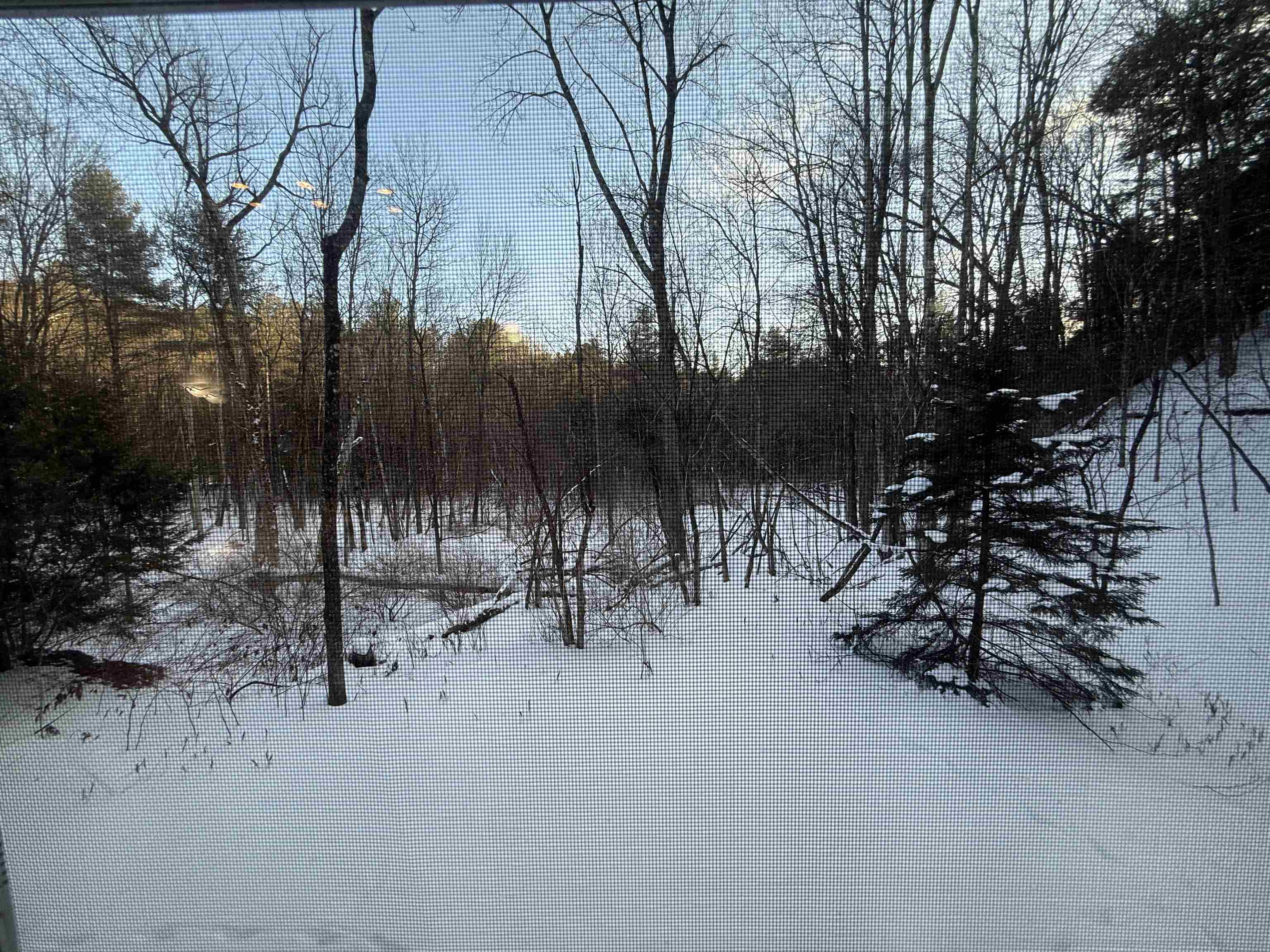 62 Silver Birch Place Rutland Town, VT 05701 - Photo 28 of 30