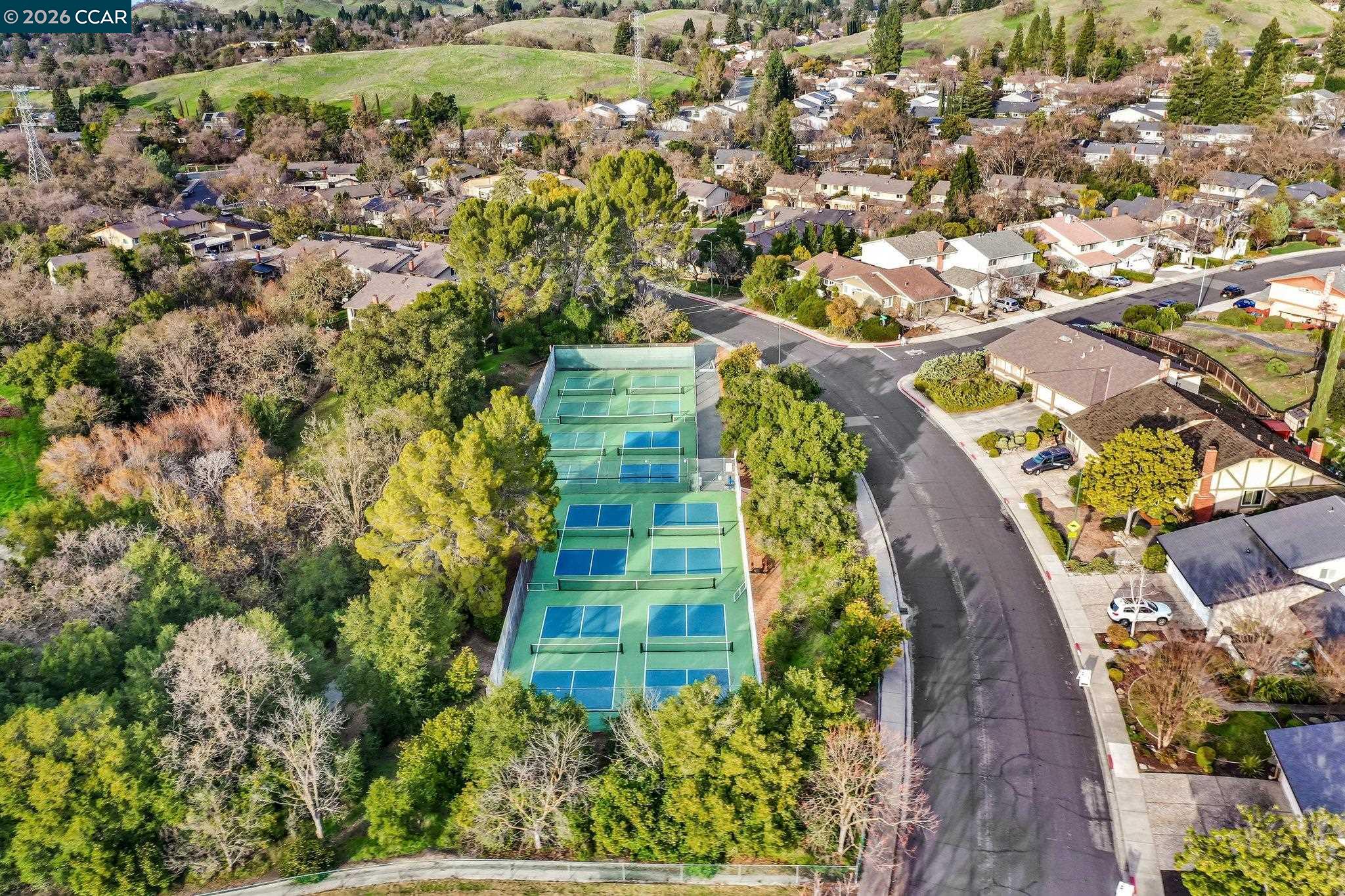 2095 Robb Road Walnut Creek, CA 94596 - Photo 23 of 26 a view of a yard with plants