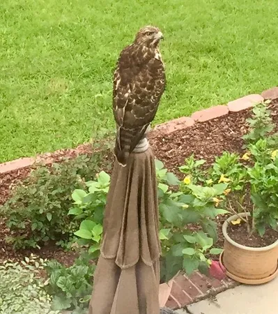 $1,198,000 | 130 Berkshire Drive, Wando, SC 29492