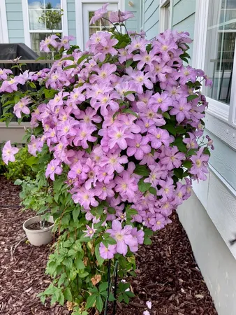 $1,198,000 | 130 Berkshire Drive, Wando, SC 29492