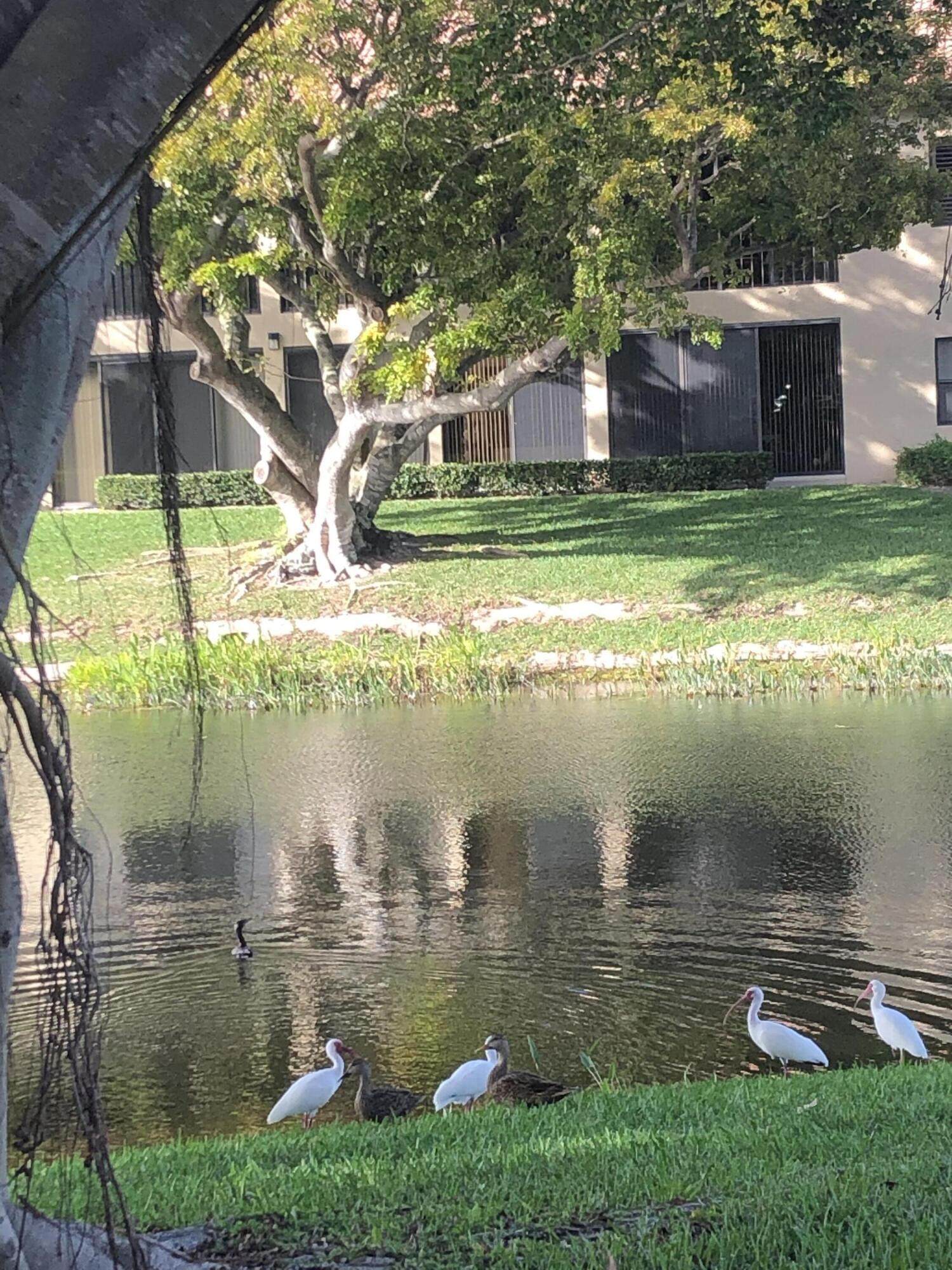 5187 Europa Drive, Unit A CORNER Boynton Beach, FL 33437 - Photo 49 of 50 IMG_4729