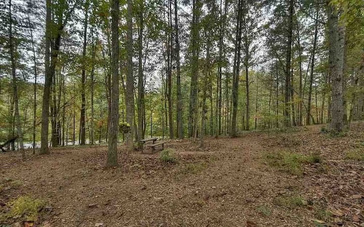 6341 Mobile Road Blue Ridge, GA 30513 - Photo 32 of 42