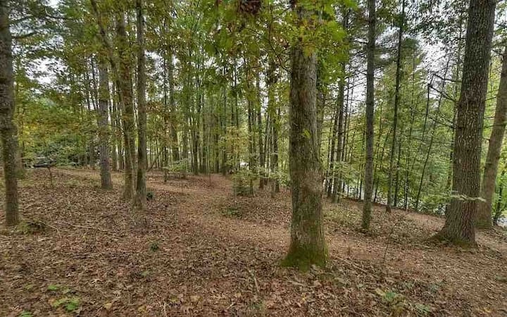 6341 Mobile Road Blue Ridge, GA 30513 - Photo 33 of 42