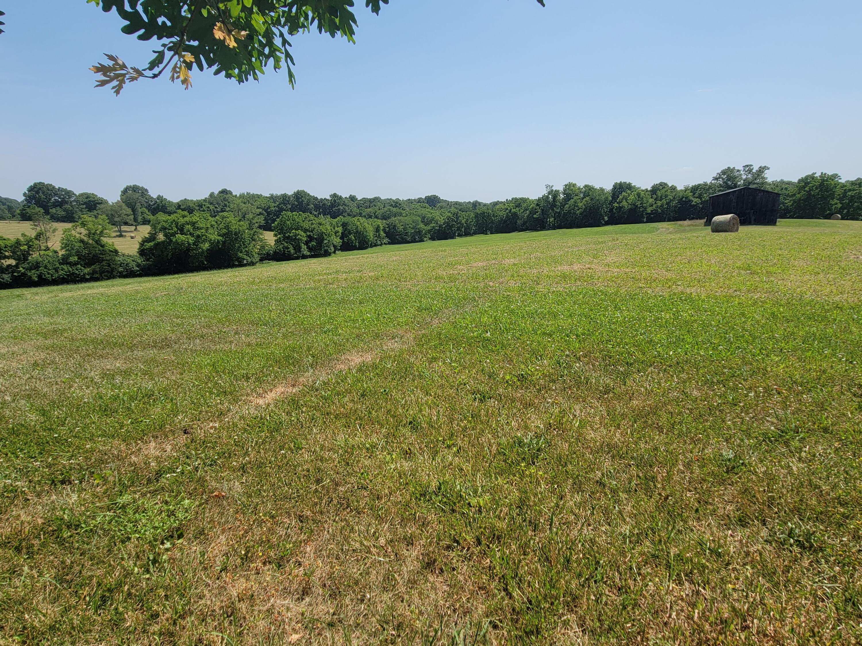 4897 Fords Mill Road Versailles, KY 40383 - Photo 20 of 52 20220614_152248