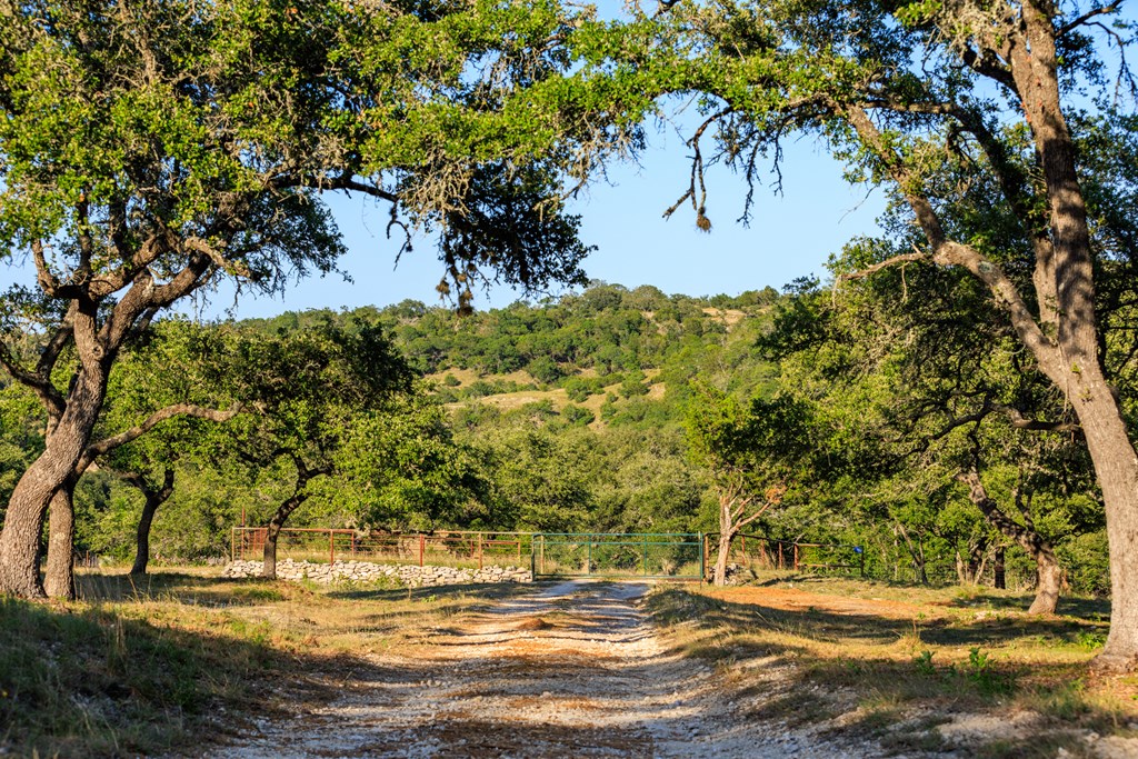 0 Delaware Creek Road Blanco, TX 78606 - Photo 11 of 16 Gallery Image 11