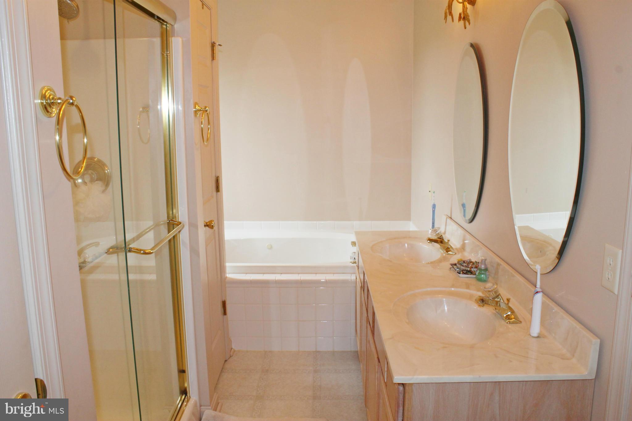 1202 Hook Road Westminster, MD 21157 - Photo 22 of 30 Soaking tub, double vanity and WIC