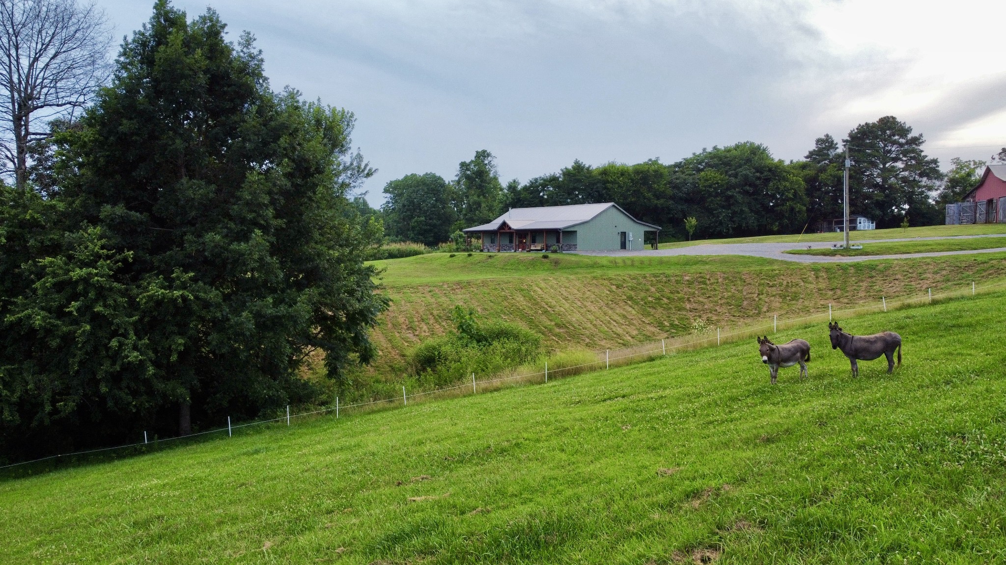 354 Dyer Ridge Road Baxter, TN 38544 - Photo 19 of 96