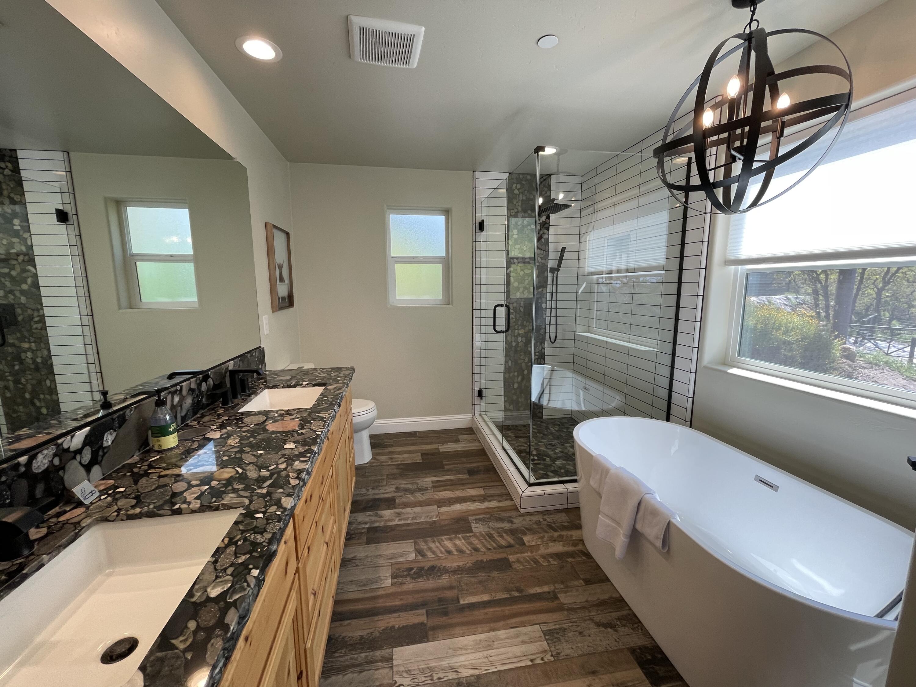 45431 Hammond Drive, Unit 3 Three Rivers, CA 93271 - Photo 3 of 57 Spa Like Master Bathroom