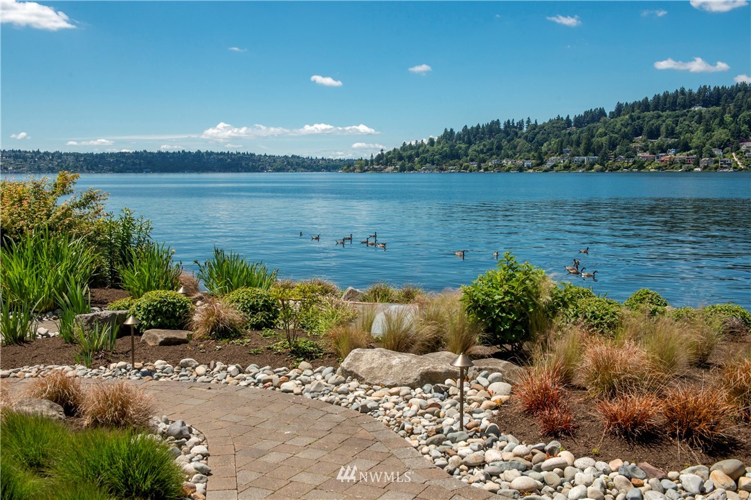 1105 North 41st Place Renton, WA 98056 - Photo 34 of 40 a view of a lake from a yard