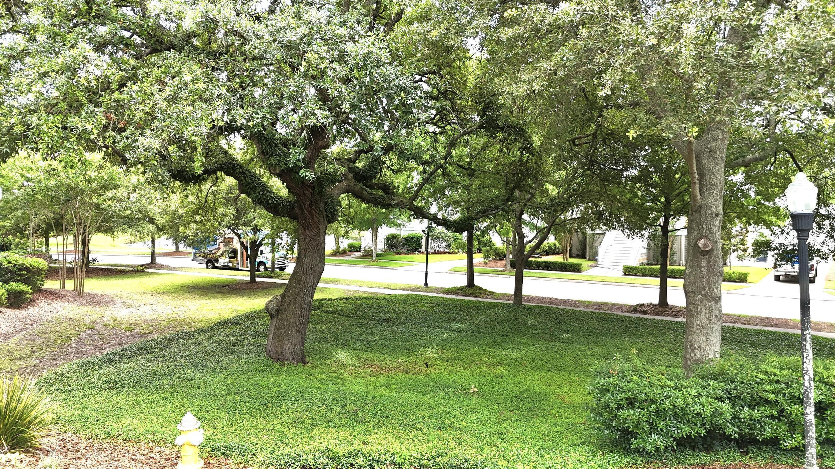 1225 Blakeway Street, Unit 906 Charleston, SC 29492 - Photo 31 of 33 20250605151826633035000000-o