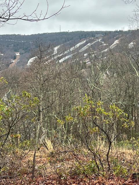 2235 Camelback Road Tannersville, PA 18372 - Photo 3 of 6 lot 2235 2
